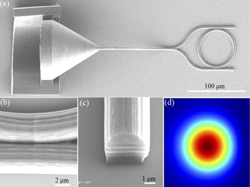 Polymer Micro-Optical Devices