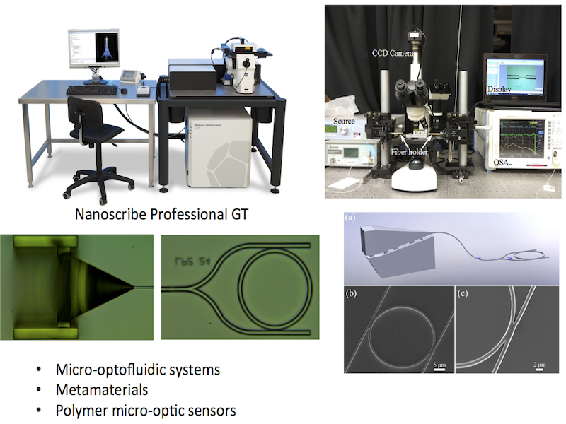 Two-Photon Lithography